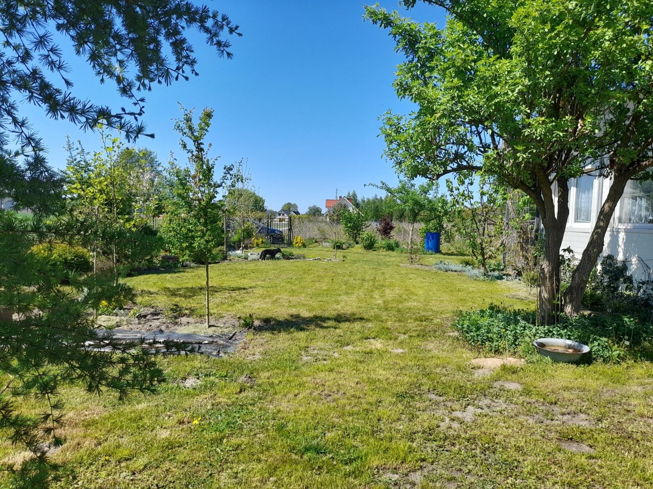 dom wolnostojący, 2 pokoje Konarskie, ul. Bielawy. Zdjęcie 12