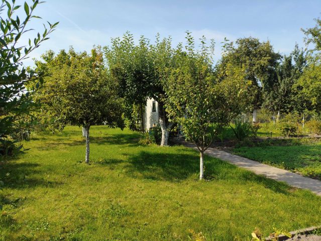 Działka rod Wałcz Raduń. Zdjęcie 1