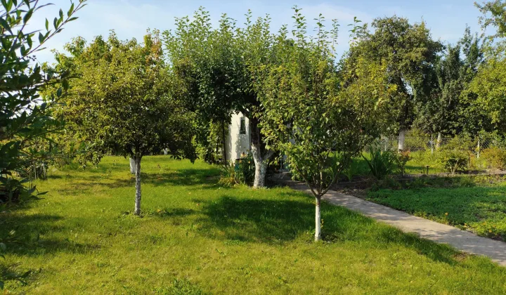 Działka rod Wałcz Raduń