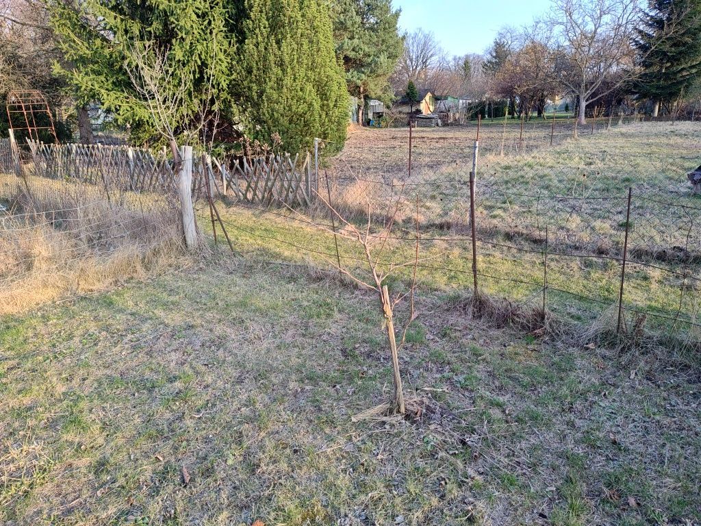 Działka rod Wrocław Krzyki, ul. Gazowa. Zdjęcie 7