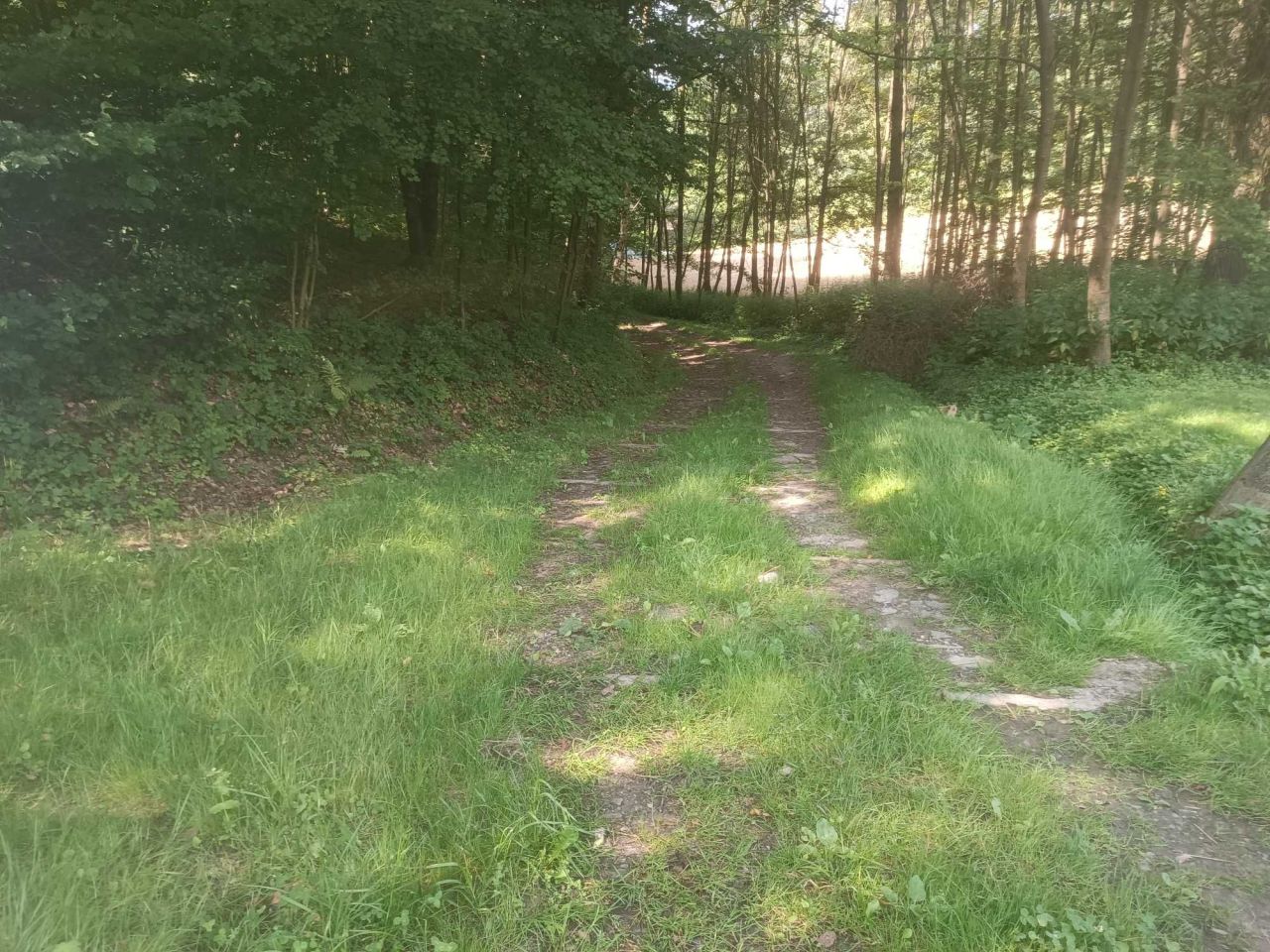 Działka rolna Godowa. Zdjęcie 6