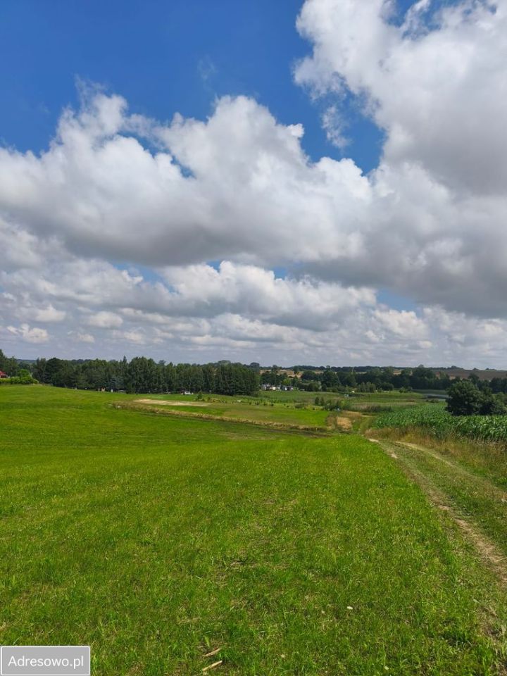 Działka rolna Orzechowo. Zdjęcie 8