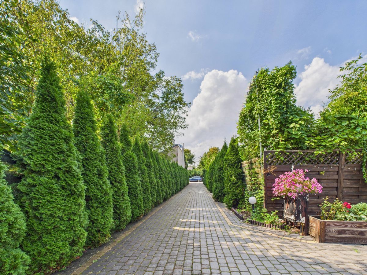 bliźniak, 12 pokoi Piastów, ul. Stefana Żeromskiego. Zdjęcie 2