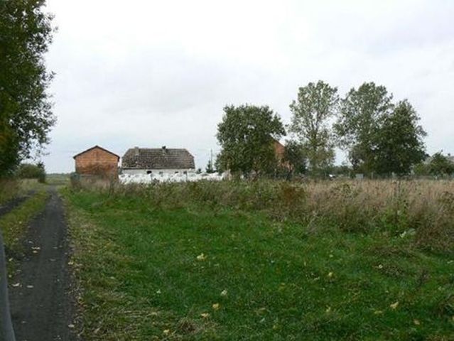 Działka rolna Witolub. Zdjęcie 8