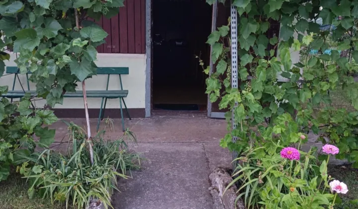 Działka rod Koronowo