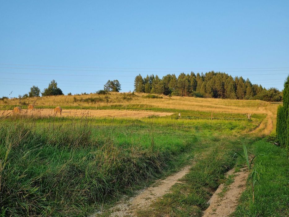Działka budowlana Złockie. Zdjęcie 7
