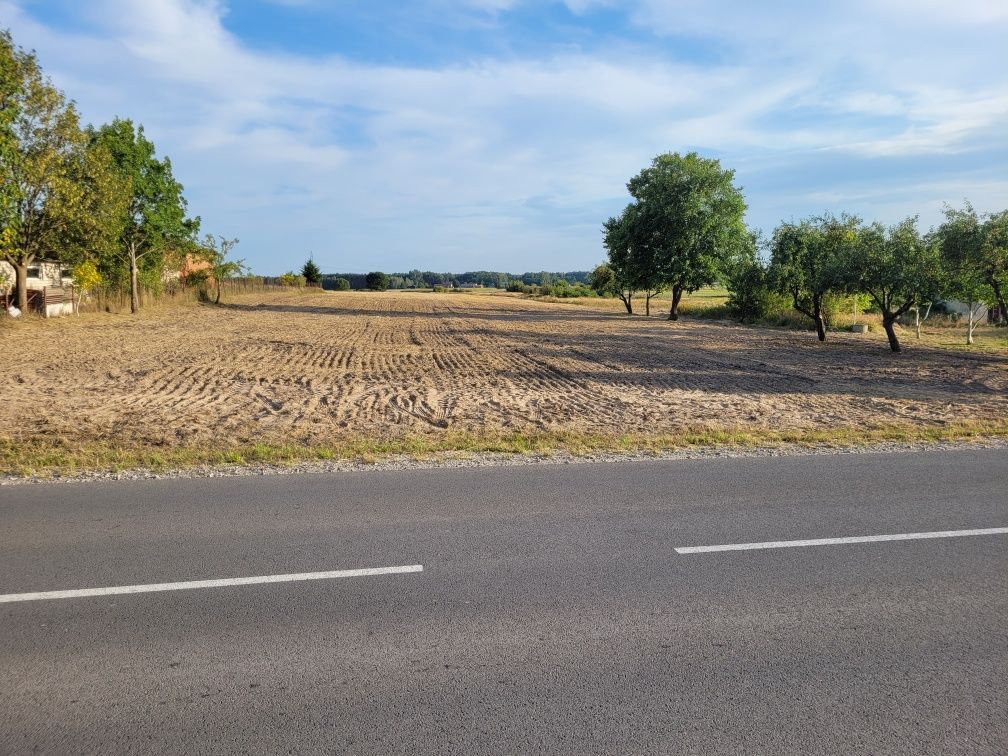 Działka budowlana Piaski. Zdjęcie 2