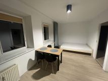 Mieszkanie 1-pokojowe Poznań Centrum, ul. Wierzbięcice. Zdjęcie 1