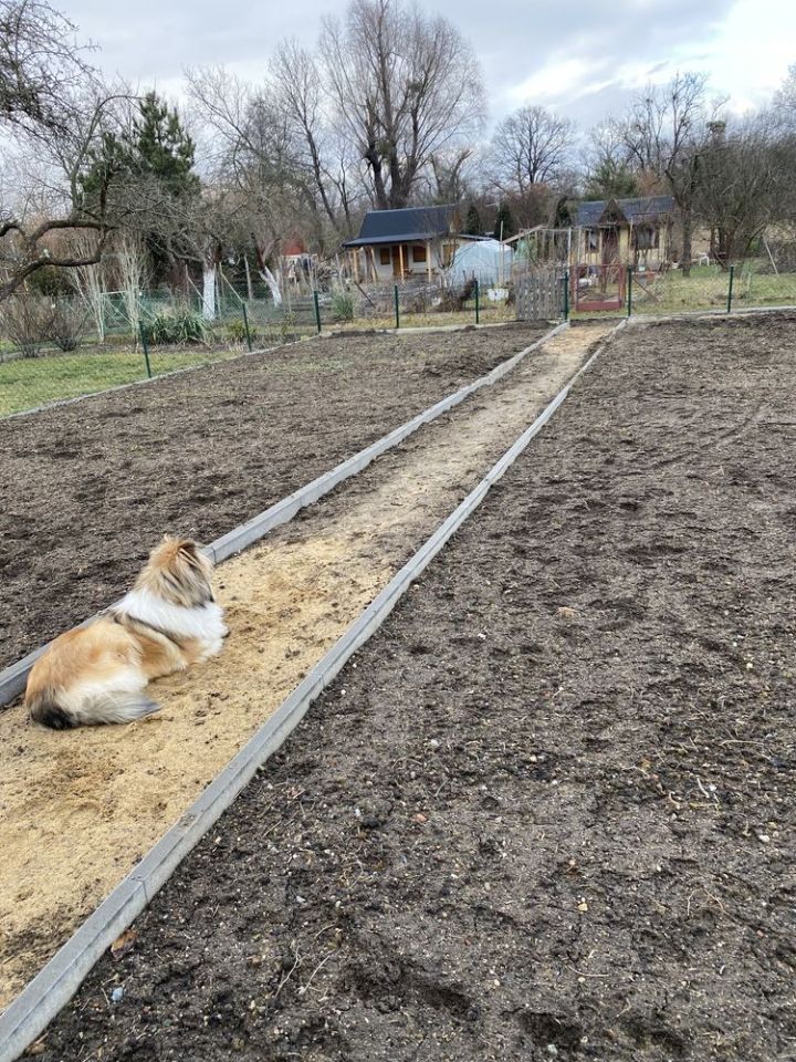 Działka rod Wrocław Stare Miasto. Zdjęcie 4