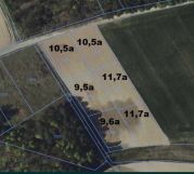 Działka budowlana Białkowo. Zdjęcie 4