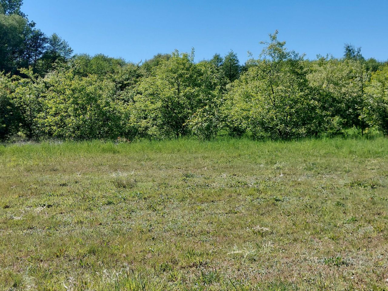 Działka rolno-budowlana Wymysłów, ul. Piekarska. Zdjęcie 2