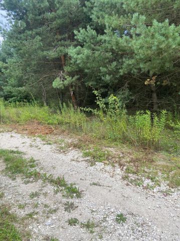 Działka budowlana Wola Morawicka. Zdjęcie 1