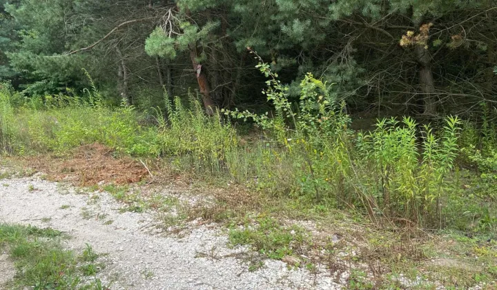 Działka budowlana Wola Morawicka