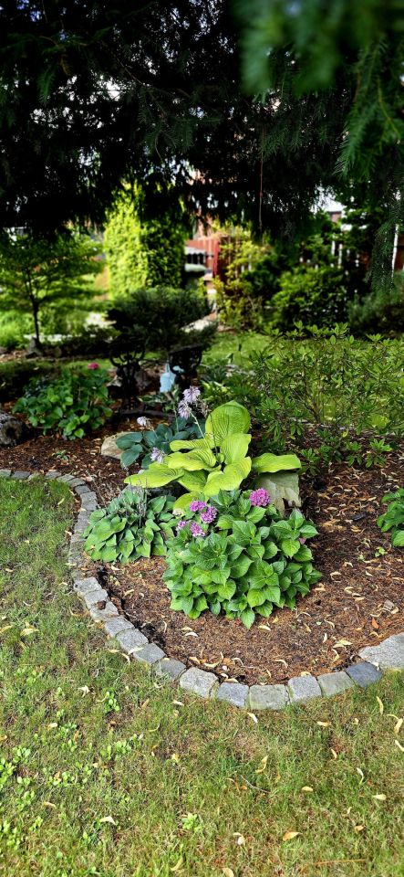 bliźniak, 5 pokoi Gliwice Śródmieście, Most Baildona. Zdjęcie 15