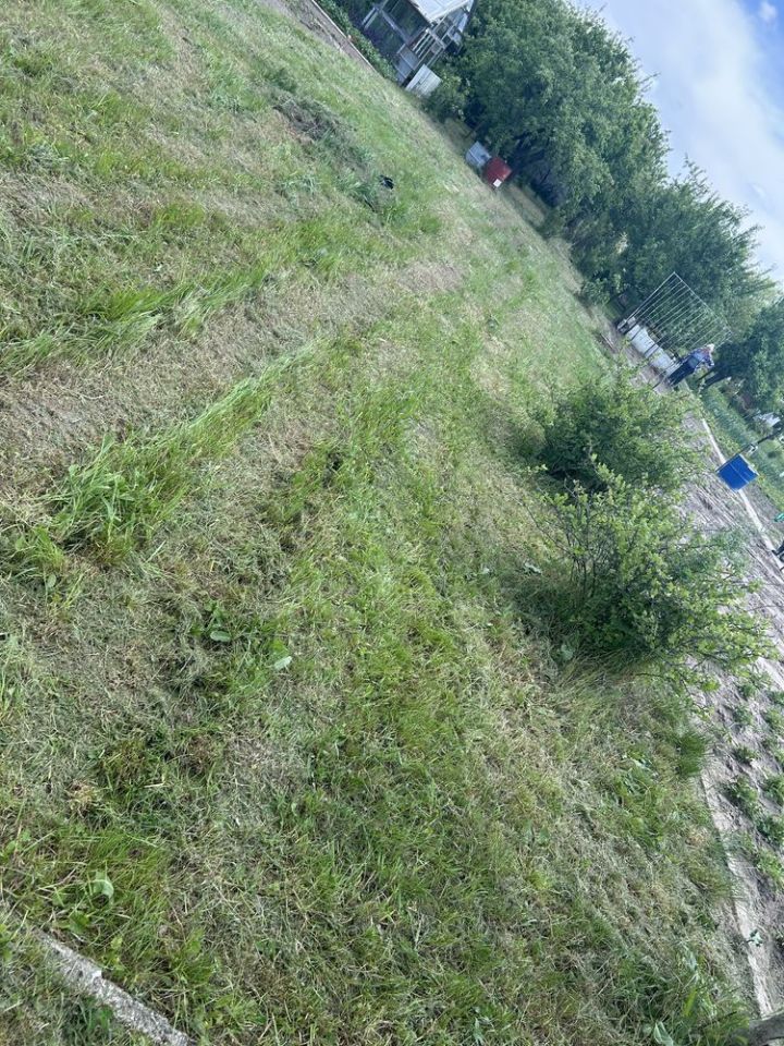 Działka rod Krosno Odrzańskie. Zdjęcie 7