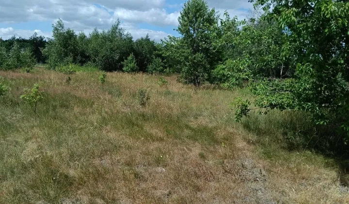 Działka budowlana Jesionka, ul. Liliowa