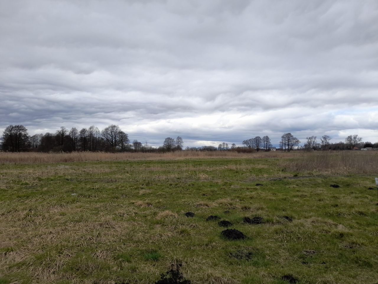 Działka budowlana Nowe Dąbie. Zdjęcie 3