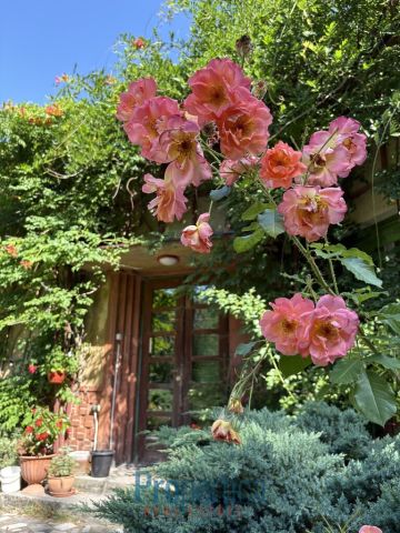 Działka budowlana Konstancin-Jeziorna, ul. Tadeusza Kościuszki. Zdjęcie 15