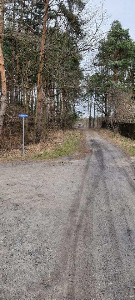 Działka leśna Ruda Kozielska. Zdjęcie 2