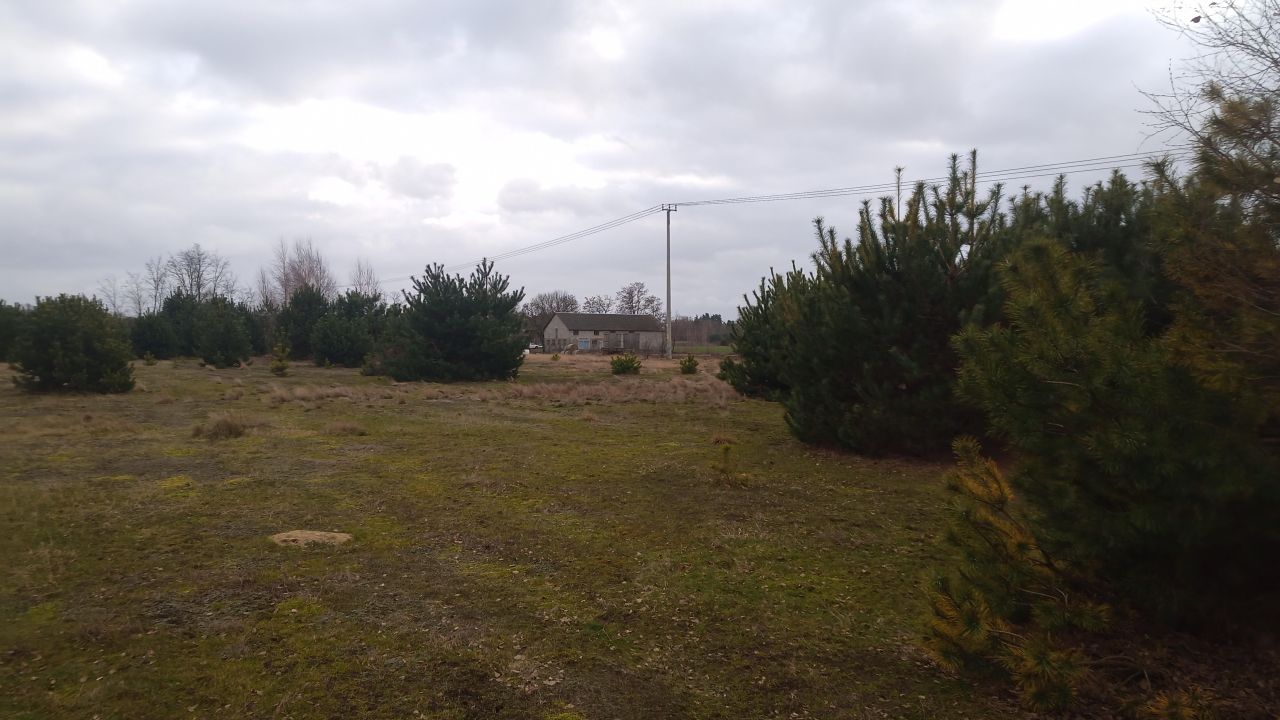 Działka rolno-budowlana Borówek. Zdjęcie 12