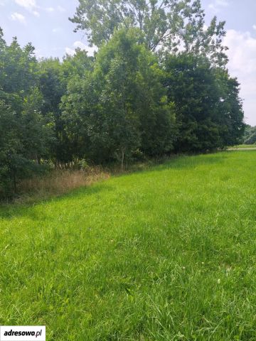 Działka budowlana Łódź Bałuty, ul. Sokołowska. Zdjęcie 1