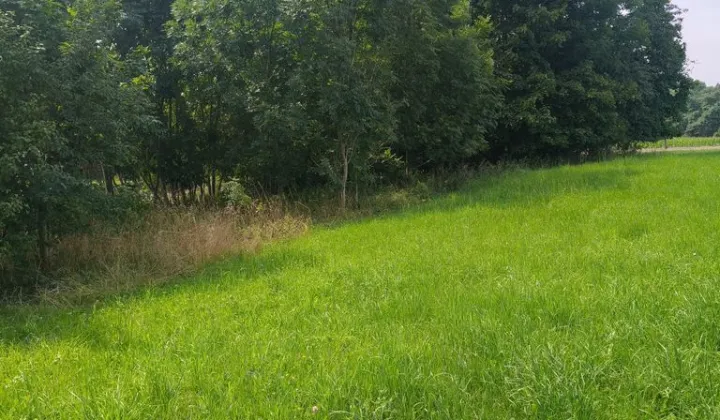 Działka budowlana Łódź Bałuty, ul. Sokołowska