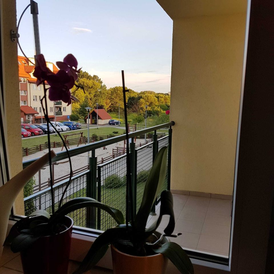 Mieszkanie 2-pokojowe Wrocław Pilczyce, ul. Gosławicka. Zdjęcie 6