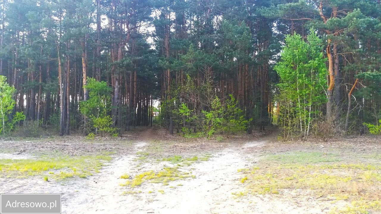 Działka budowlana Sulejówek Ratajewo. Zdjęcie 2