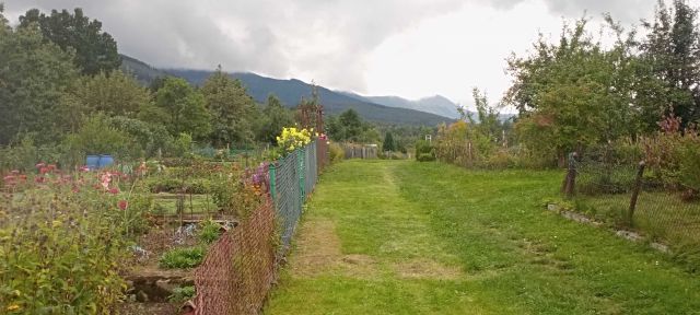 Działka rod Kowary. Zdjęcie 1