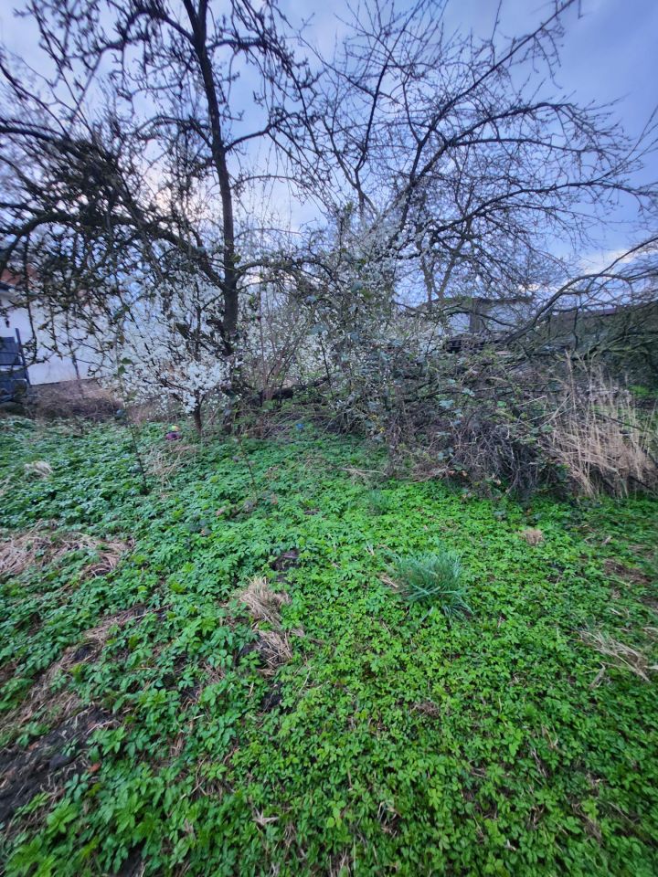 dom wolnostojący, 5 pokoi Dołuje, ul. Daniela. Zdjęcie 8