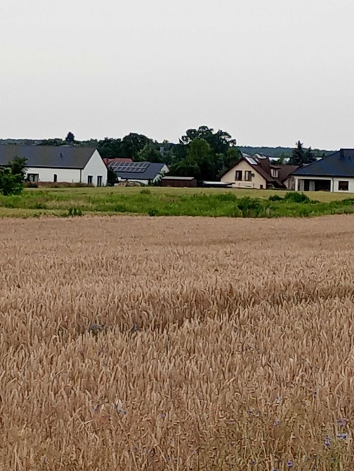 Działka budowlana Kalinówka, ul. Chmielna