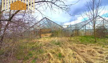 Działka siedliskowa Siennica