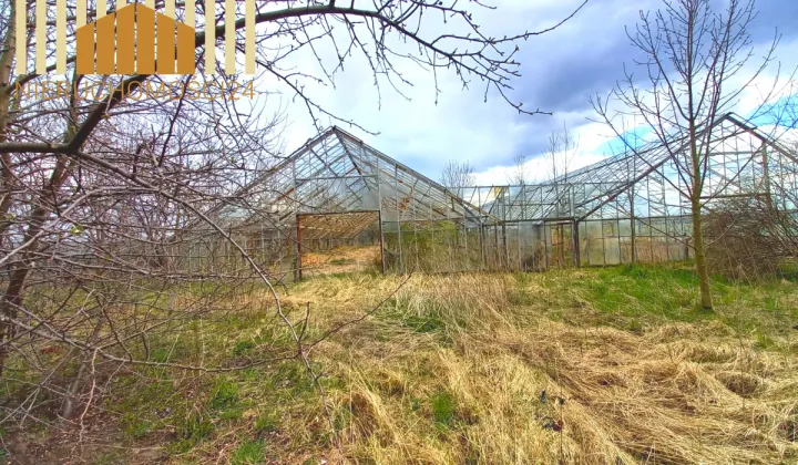 Działka siedliskowa Siennica