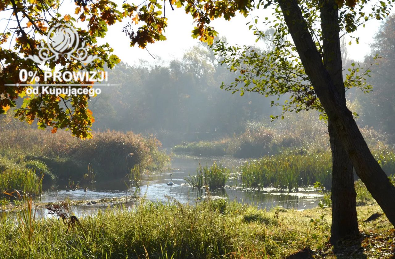 Mieszkanie 3-pokojowe Wrocław Tarnogaj. Zdjęcie 12