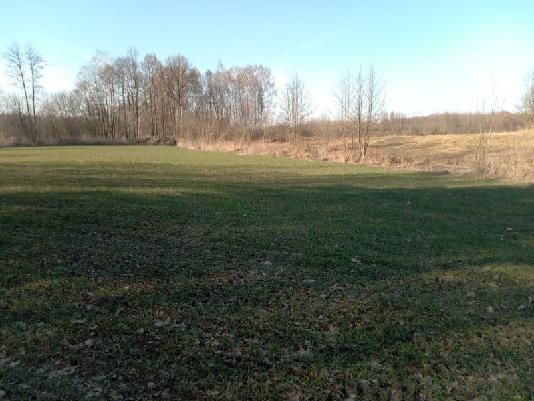 Działka rolna Rumunki Tupadelskie. Zdjęcie 3