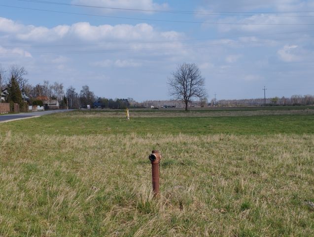 Działka budowlana Karolina. Zdjęcie 2
