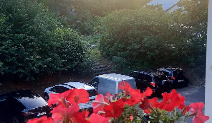 Mieszkanie 3-pokojowe Zielona Góra, ul. Podgórna