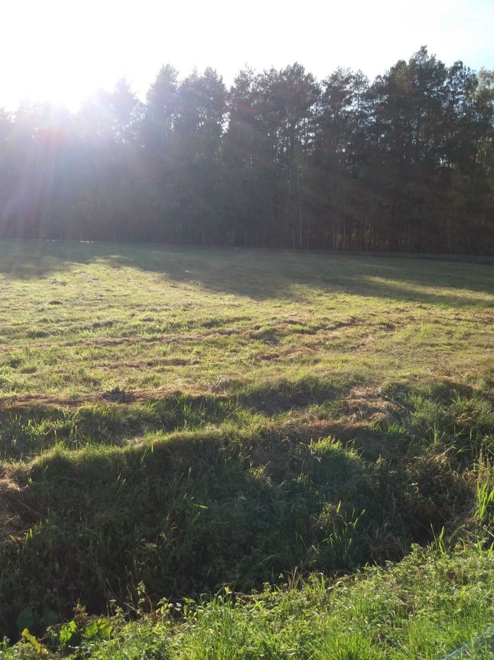 Działka budowlana Rogale. Zdjęcie 5