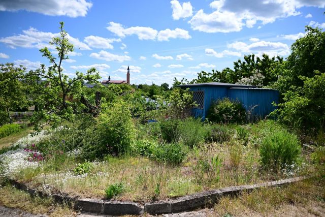 Działka rod Starogard Gdański. Zdjęcie 1