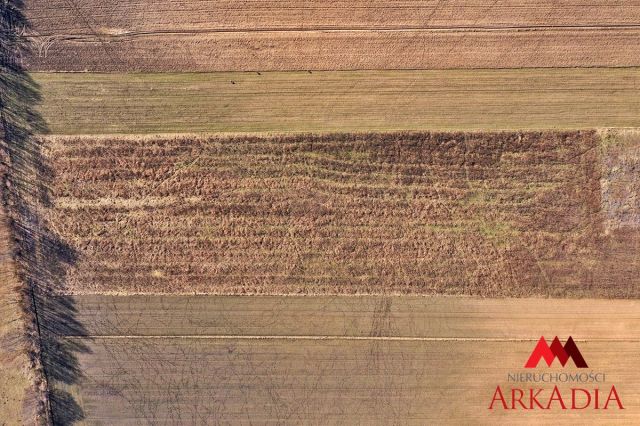 Działka budowlana Świątkowice. Zdjęcie 4