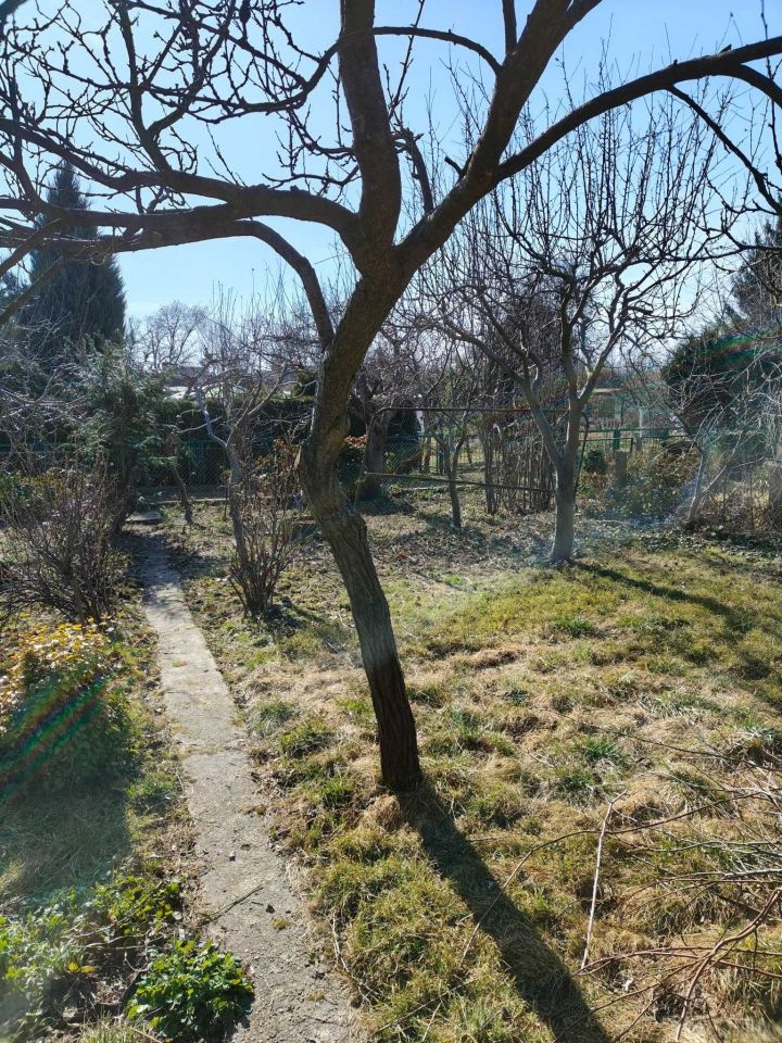 Działka rod Kalisz. Zdjęcie 3