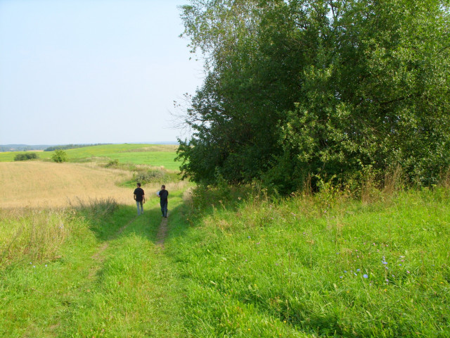 Działka rolna Burdąg. Zdjęcie 1