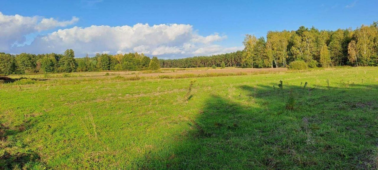 Działka budowlana Rachcin Okrągła. Zdjęcie 5