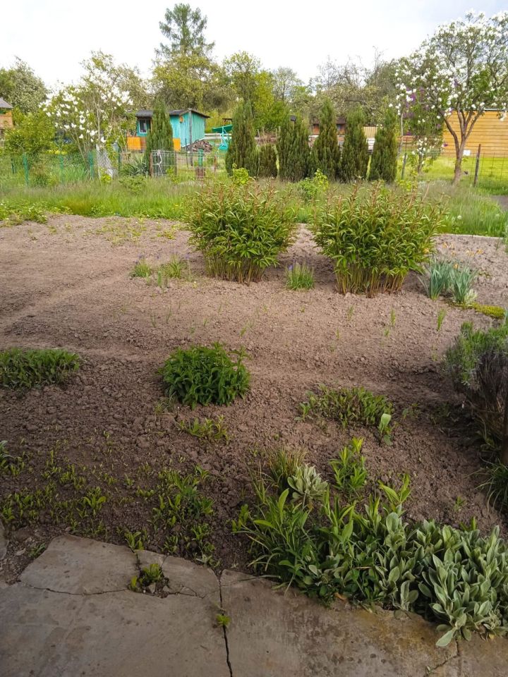 Działka rod Wrocław Krzyki, ul. Wiaduktowa. Zdjęcie 6