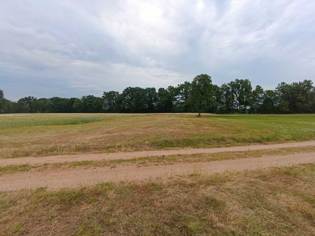 Działka rolna Plewica. Zdjęcie 1