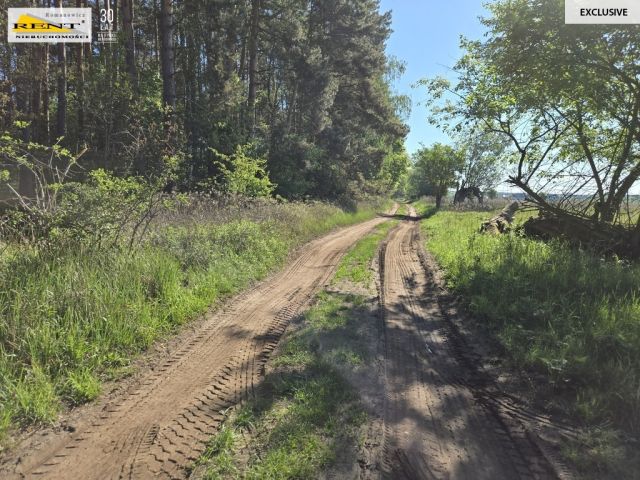 Działka rolna Szczecin. Zdjęcie 6