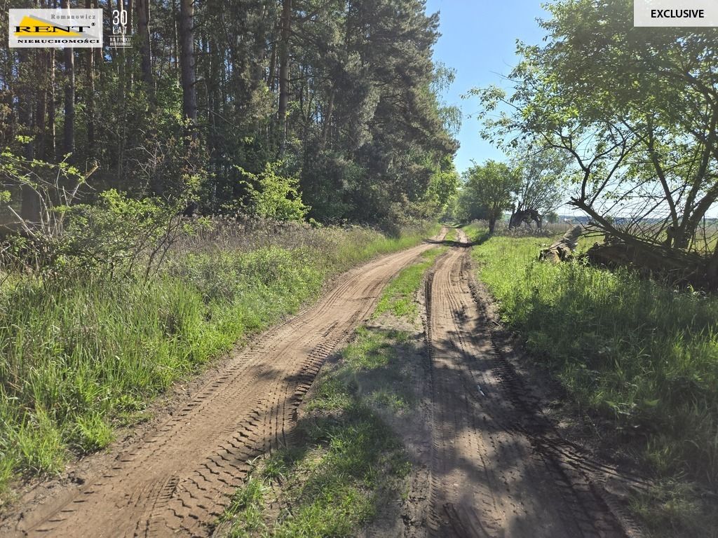 Działka rolna Szczecin. Zdjęcie 6