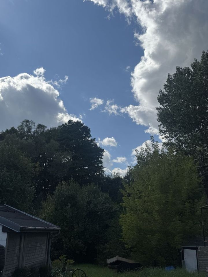 Działka budowlana Brzeziny Nowe. Zdjęcie 2