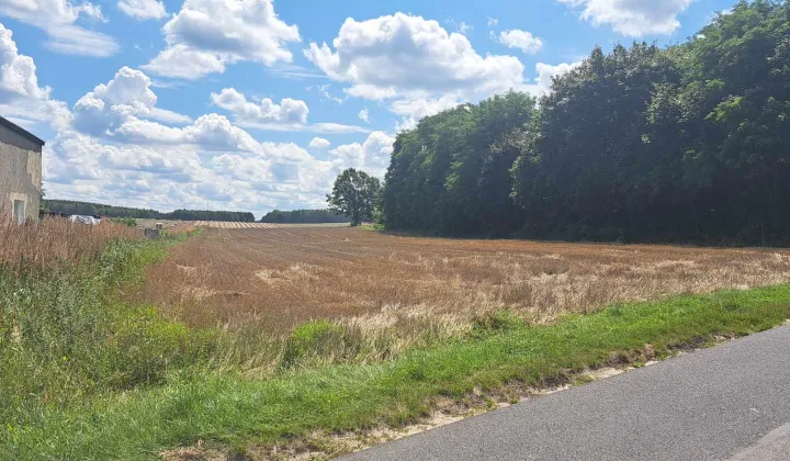 Działka budowlana Kraszkowice Dąbrowa, ul. Południowa