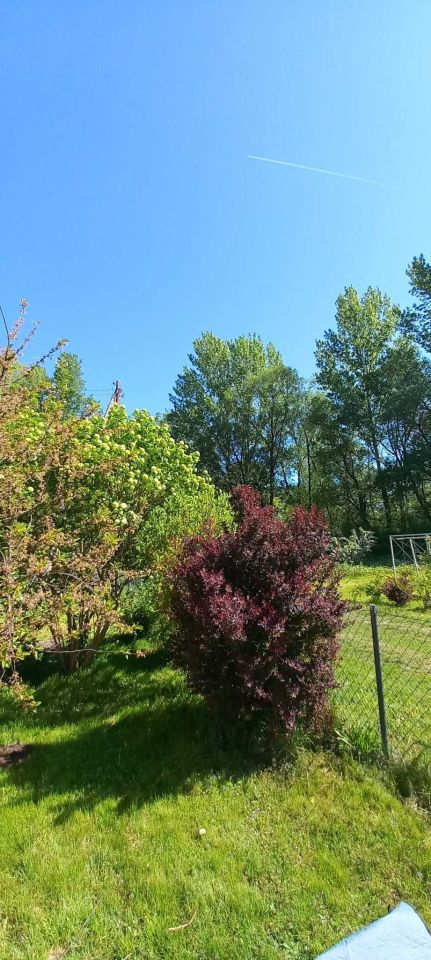 Działka rod Świdnica, ul. Śląska. Zdjęcie 3